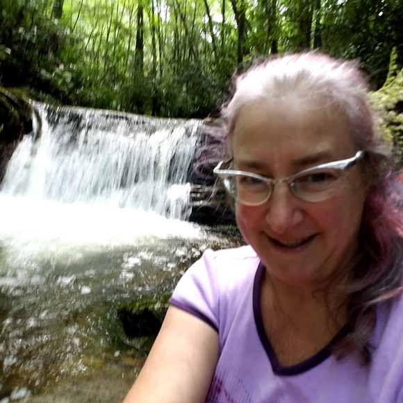 Meet your Posher, Wren - Picture 1 of 1